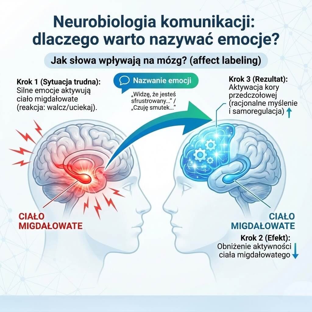 Schemat neurobiologiczny wyjaśniający mechanizm 'affect labeling'. Grafika pokazuje, jak nazwanie emocji obniża aktywność ciała migdałowatego i przywraca racjonalne myślenie, opierając się na badaniach Liebermana (2007).